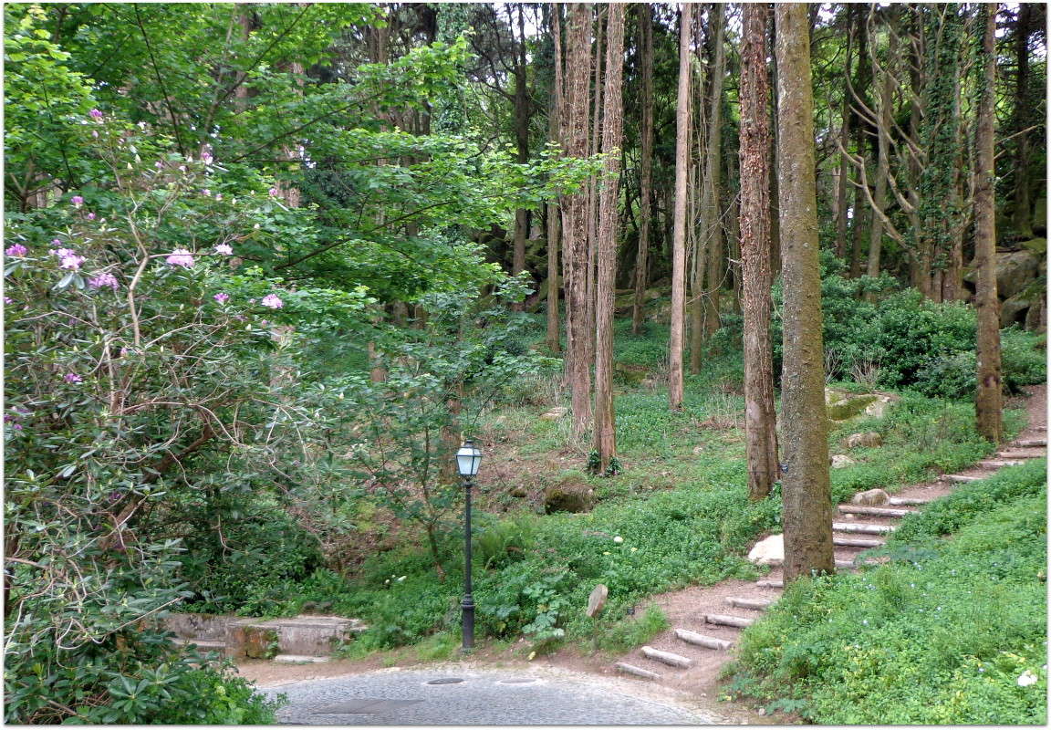 ... ����� ����� ���������(�������) �� PhotoGeek.ru #������ ��� �������