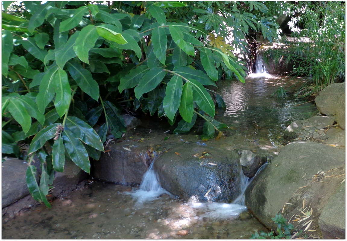 ����� ����� ����� ���������(�������) �� PhotoGeek.ru #������ ��� ������� #������