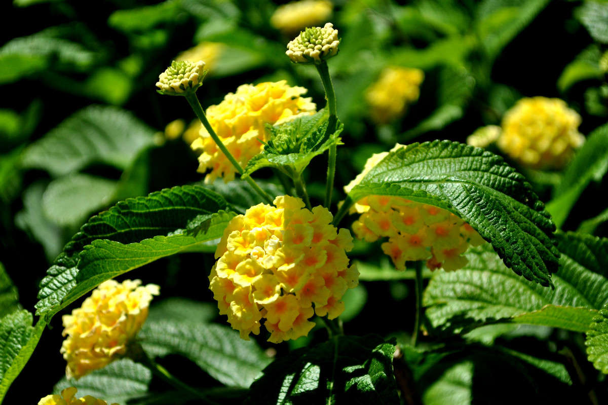 �����. ����� ����� ���������(�������) �� PhotoGeek.ru #������ ��� ������� #����� ��������������