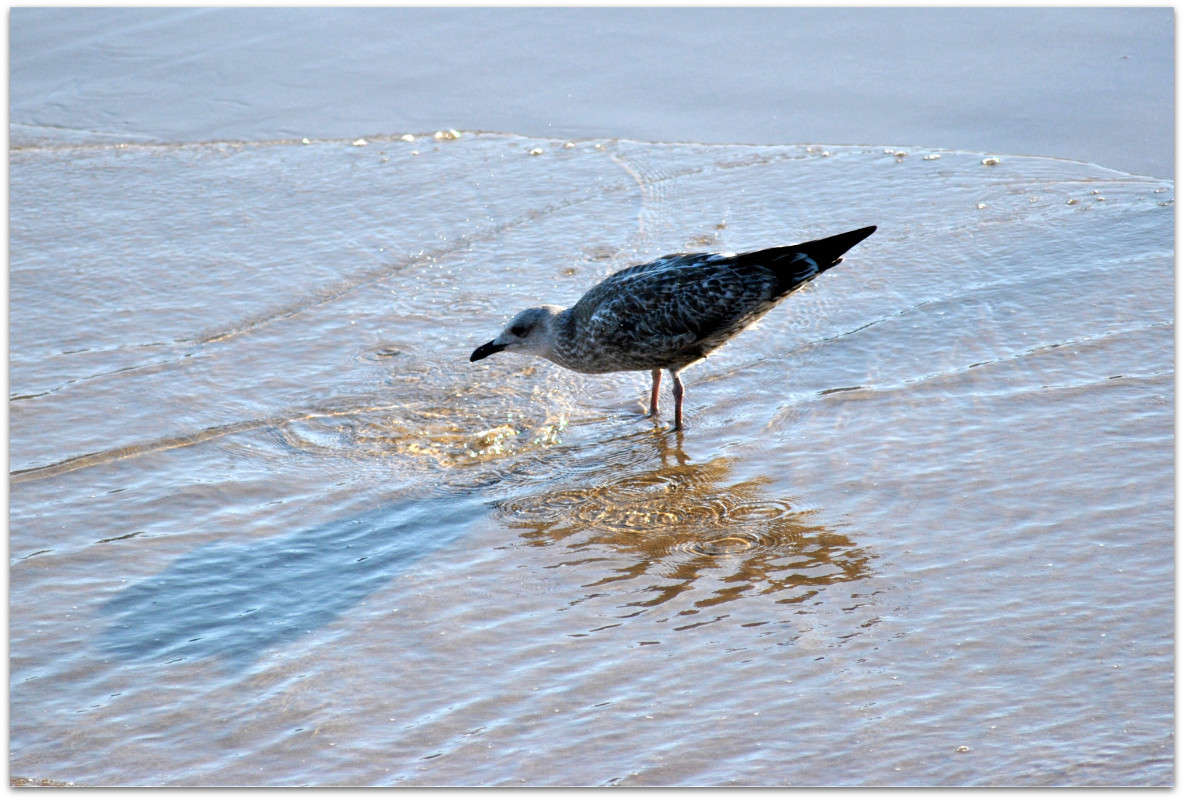 ������. ����� ����� ���������(�������) �� PhotoGeek.ru #�������� ���