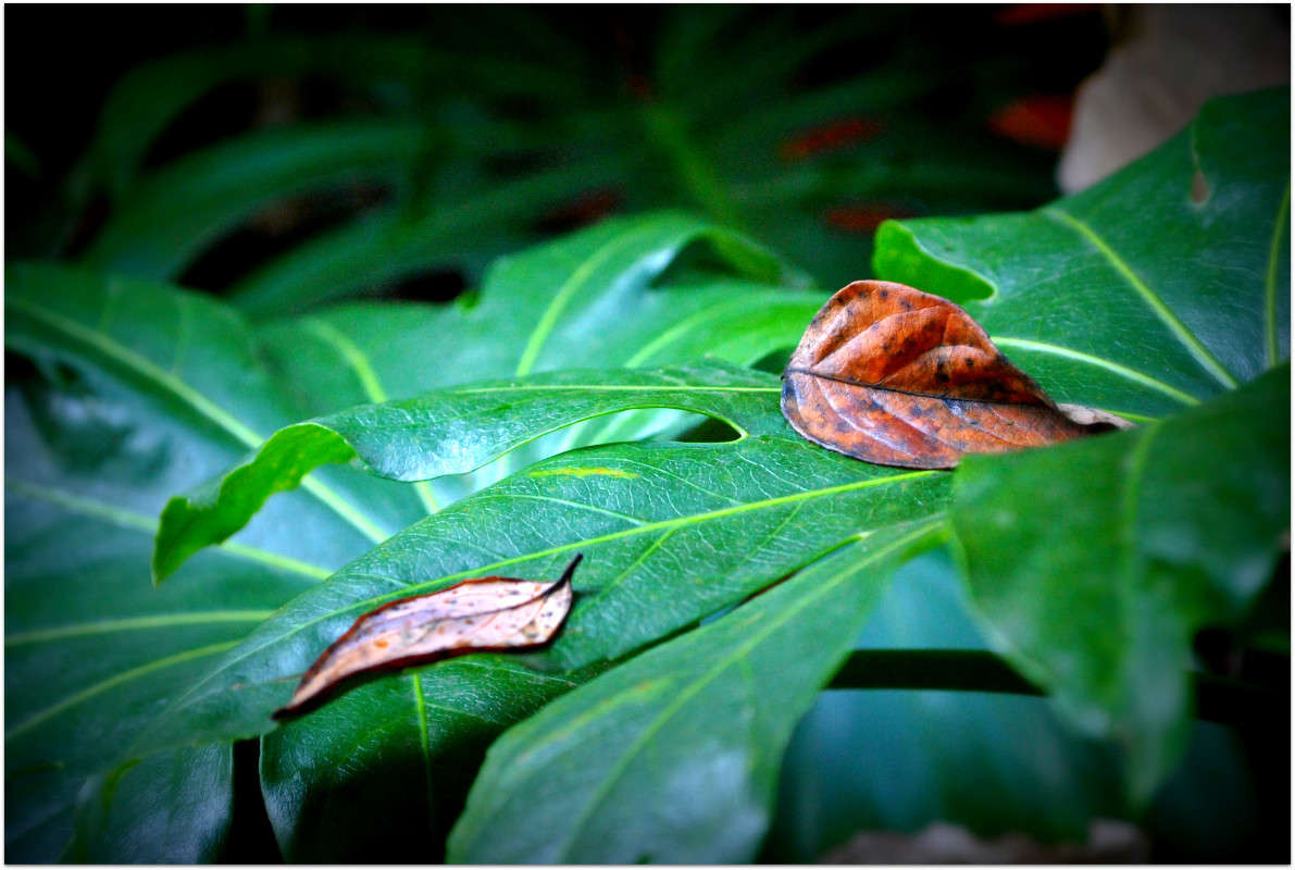 ��������... ����� ����� ���������(�������) �� PhotoGeek.ru #������ ��� ������� #����� ��������������