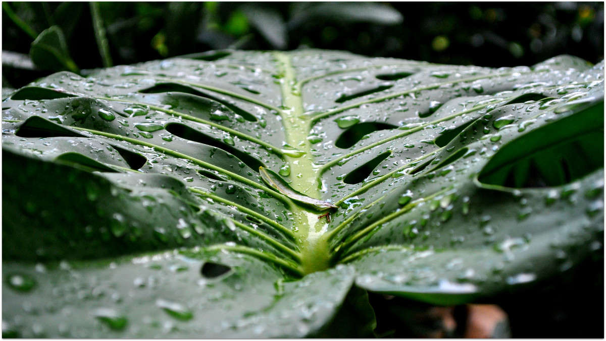 ����� �����... ����� ����� ���������(�������) �� PhotoGeek.ru #������ ��� ������� #����� ��������������