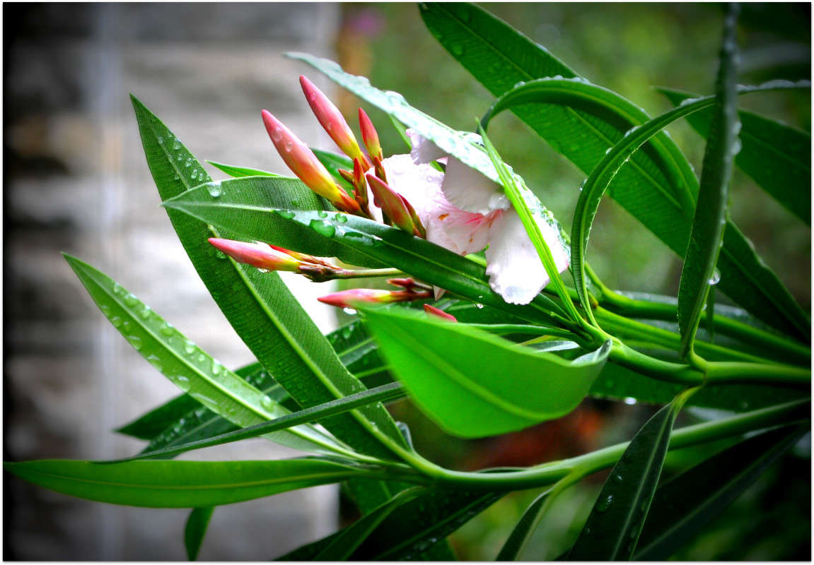 ����� �����... ����� ����� ���������(�������) �� PhotoGeek.ru #������ ��� ������� #����� ��������������