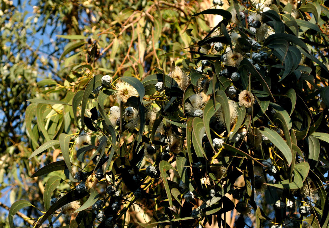 ��������� ������ ����� ����� ���������(�������) �� PhotoGeek.ru #������ ��� ������� #����� ��������������