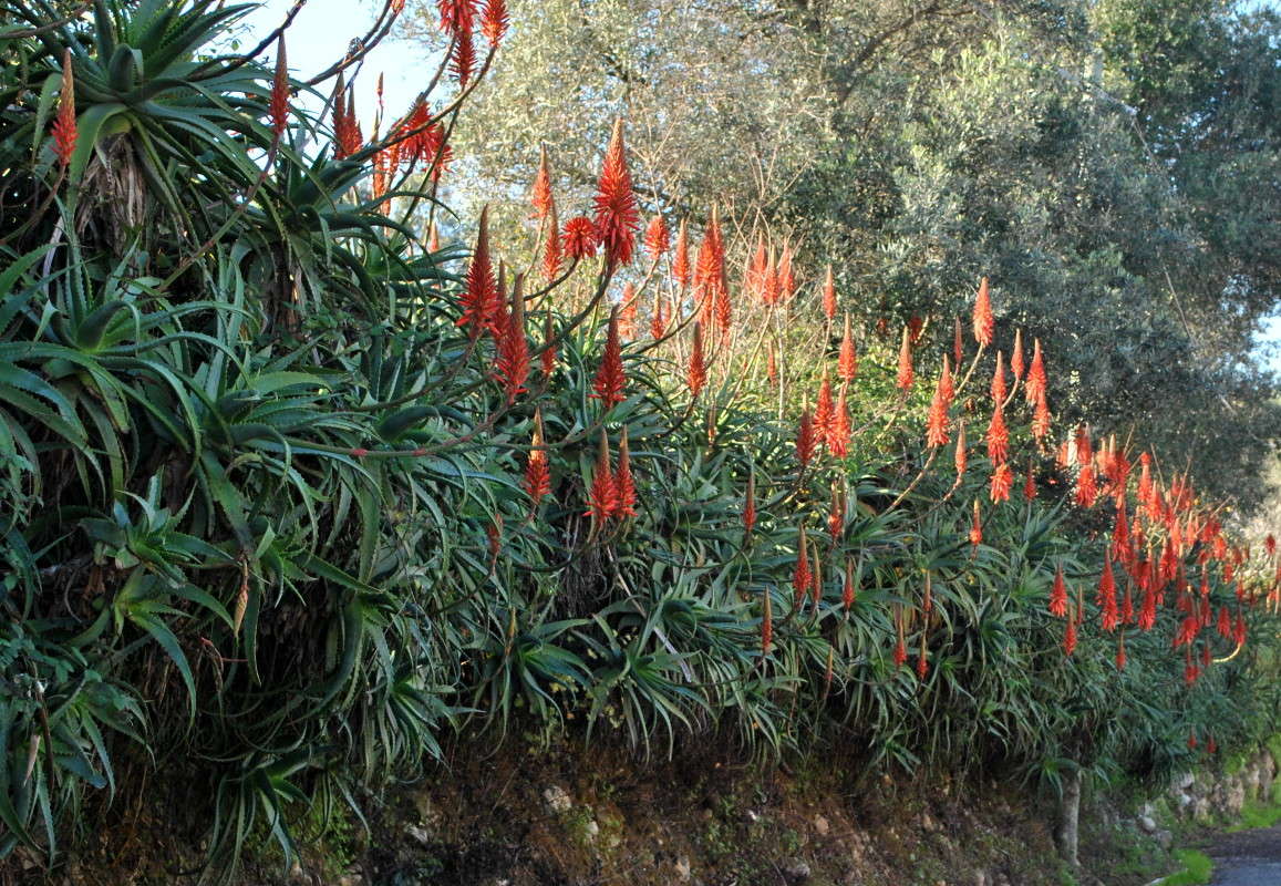 �������� ����. ����� ����� ���������(�������) �� PhotoGeek.ru #������ ��� ������� #����� ��������������