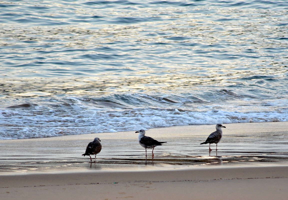 �����... ����� ����� ���������(�������) �� PhotoGeek.ru #�������� ��� #������ ��� ������� #������