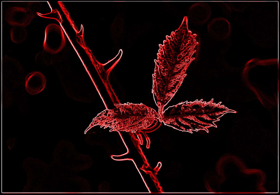 ... ����� ����� ���������(�������) �� PhotoGeek.ru #�������� ����������