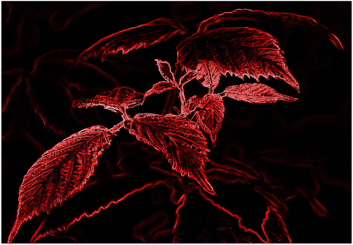 ... ����� ����� ���������(�������) �� PhotoGeek.ru #������