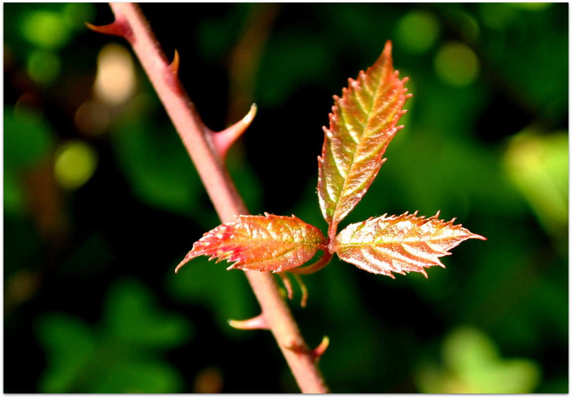 � ������! ����� ����� ���������(�������) �� PhotoGeek.ru #������ ��� ������� #����� ��������������