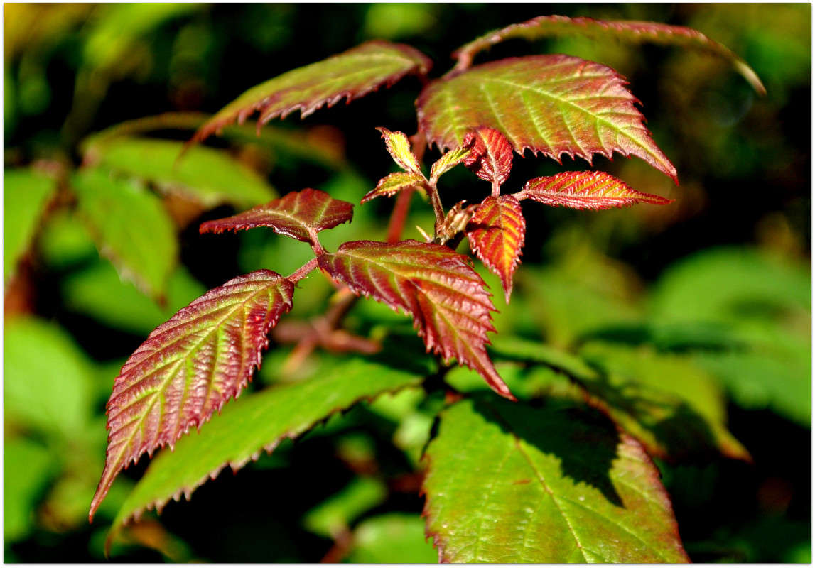 ... ����� ����� ���������(�������) �� PhotoGeek.ru #������ ��� ������� #����� ��������������