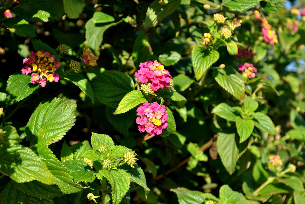 ����� ����� ����� ���������(�������) �� PhotoGeek.ru #������ ��� ������� #����� ��������������