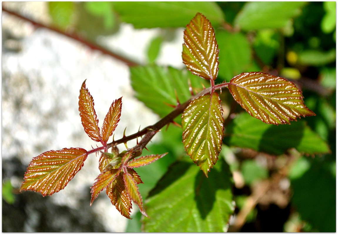 ������... ����� ����� ���������(�������) �� PhotoGeek.ru #������ ��� ������� #����� ��������������