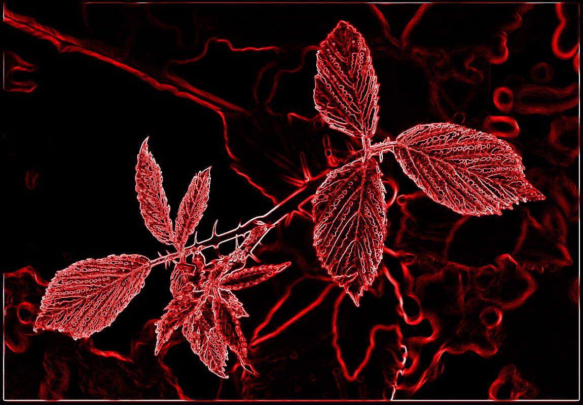 � �������� �����.. ����� ����� ���������(�������) �� PhotoGeek.ru #������