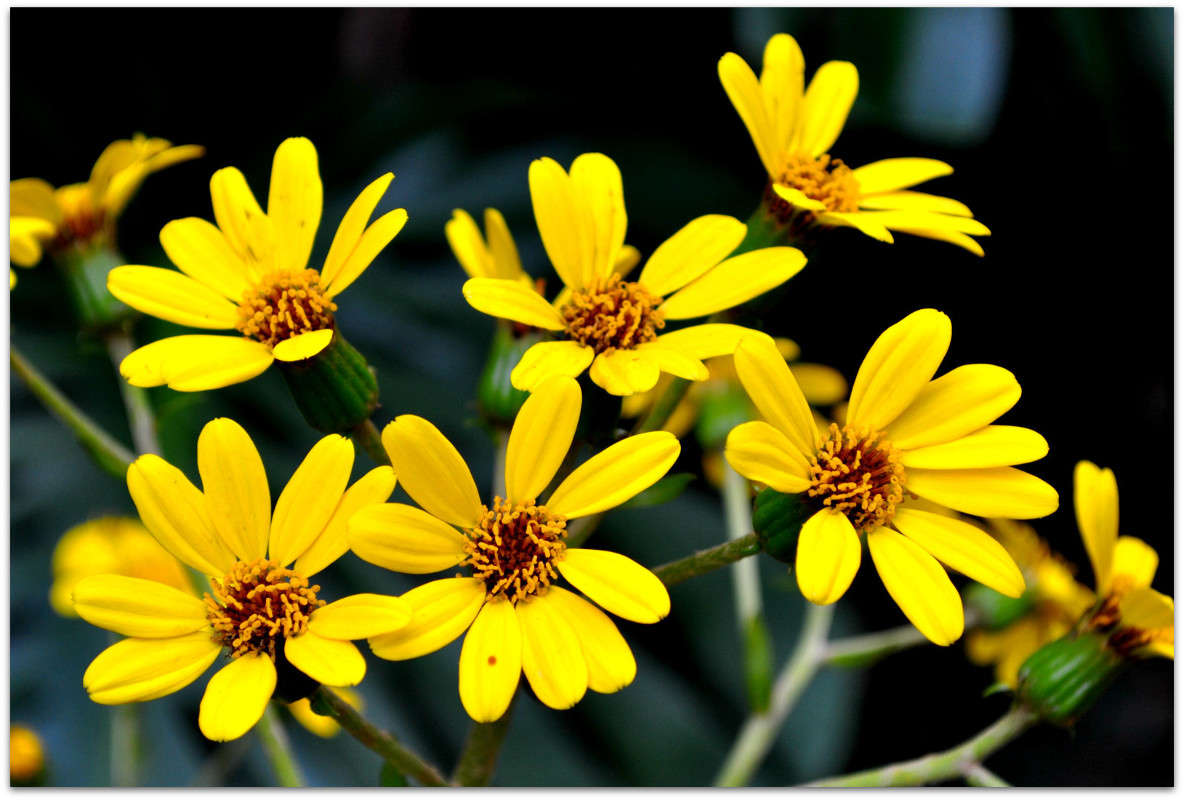 ... ����� ����� ���������(�������) �� PhotoGeek.ru #������ ��� ������� #����� ��������������