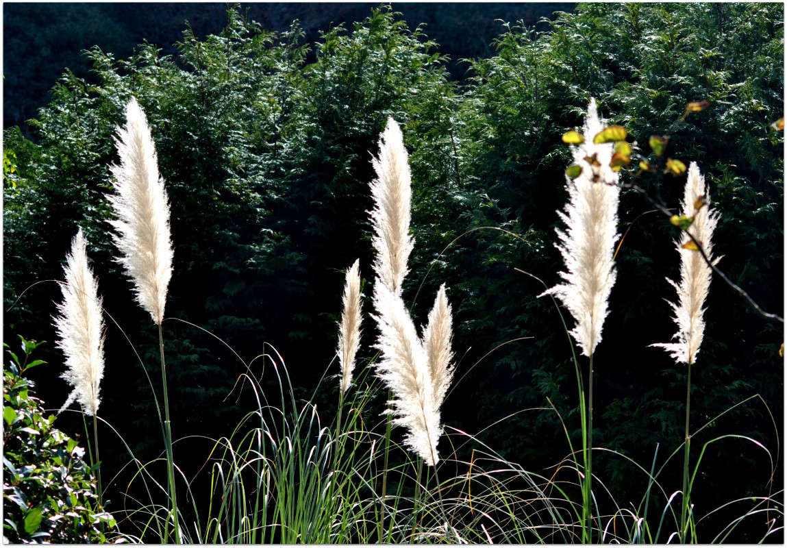 ��������...! ����� ����� ���������(�������) �� PhotoGeek.ru #������ ��� ������� #����� ��������������