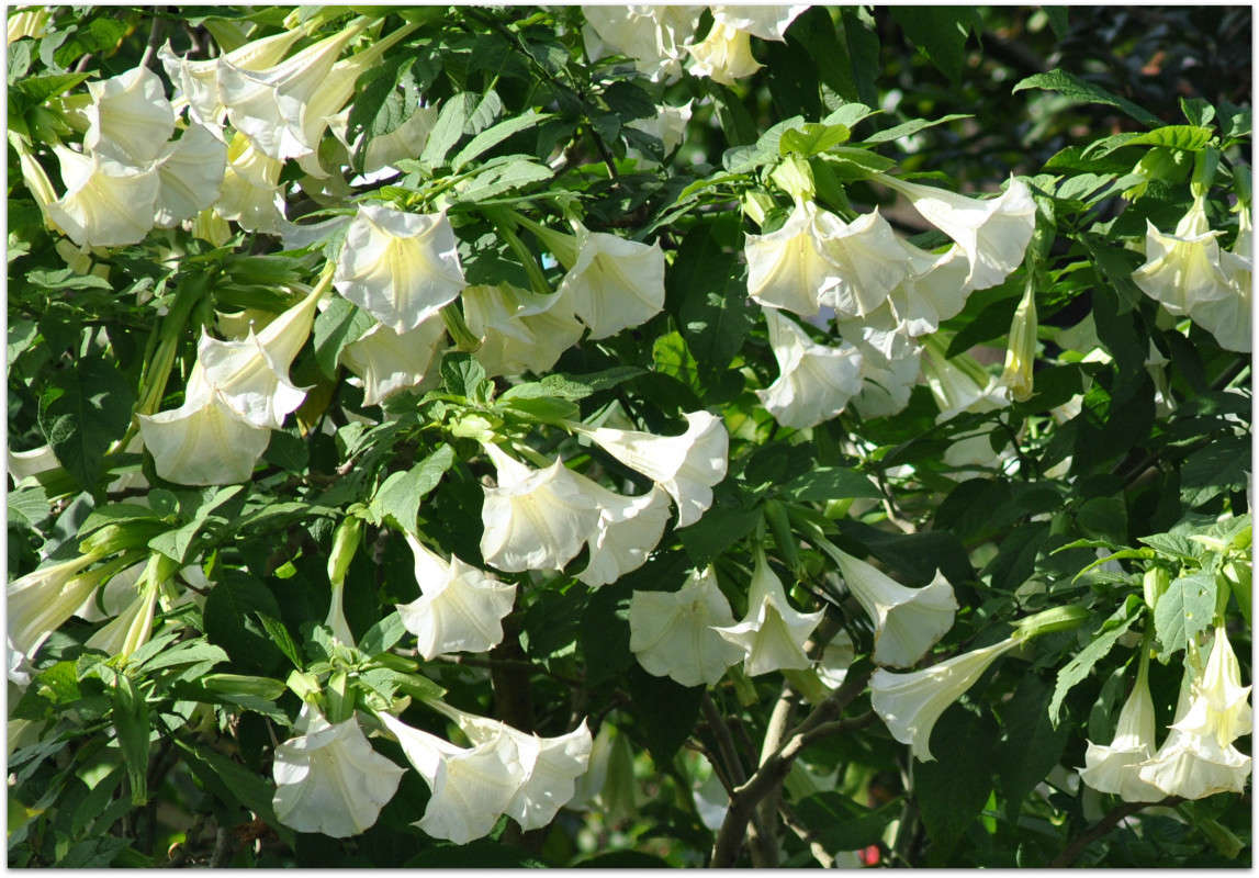 ... ����� ����� ���������(�������) �� PhotoGeek.ru #������ ��� ������� #����� ��������������