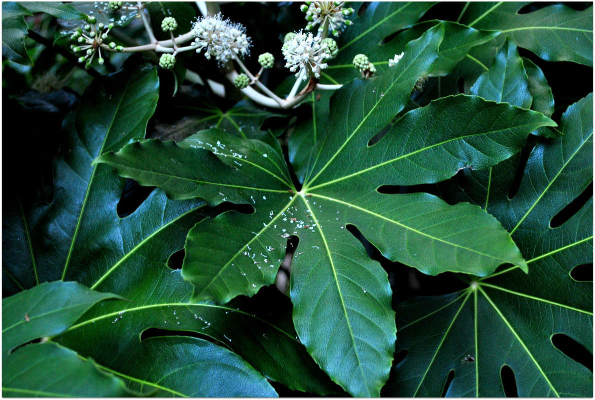 ... ����� ����� ���������(�������) �� PhotoGeek.ru #������ ��� ������� #����� ��������������