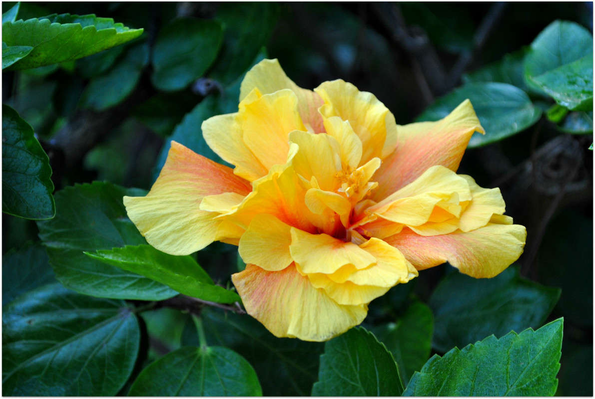 ... ����� ����� ���������(�������) �� PhotoGeek.ru #������ ��� ������� #����� ��������������