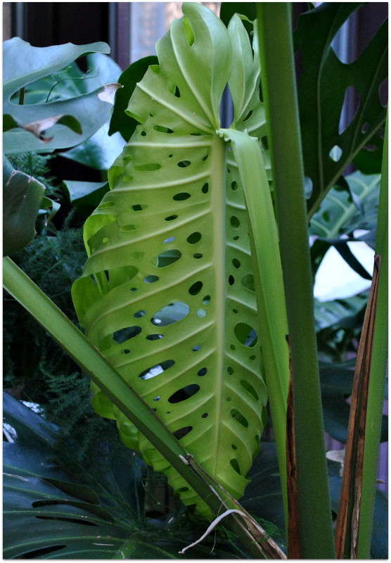 �������� �������!)) ����� ����� ���������(�������) �� PhotoGeek.ru #������ ��� ������� #����� ��������������