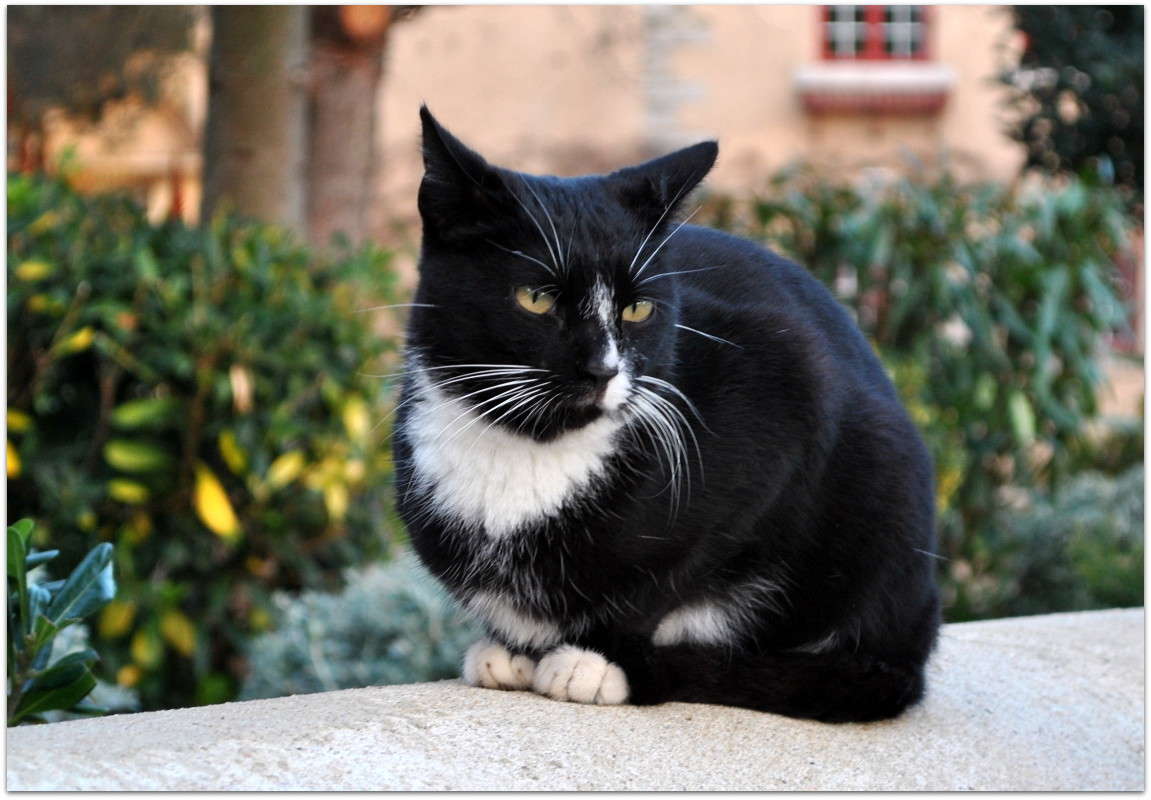 ��������)) ����� ����� ���������(�������) �� PhotoGeek.ru #�������� ���