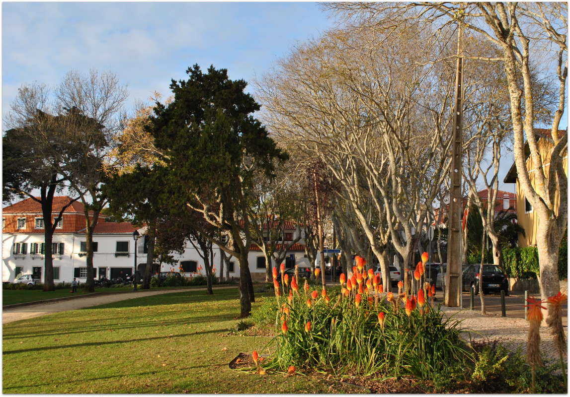 � �������� ����� ����� ���������(�������) �� PhotoGeek.ru #����� #������ ��� ������� #������ ���� #��������� ������