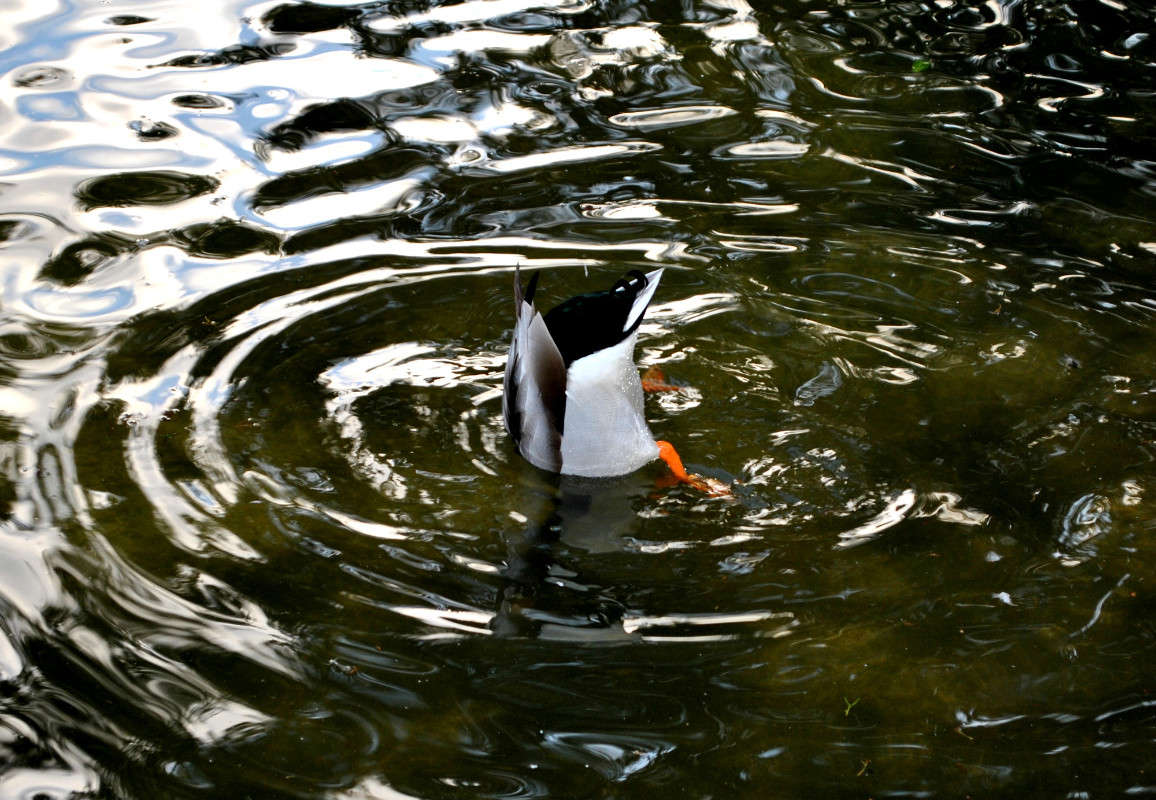 ��������)) ����� ����� ���������(�������) �� PhotoGeek.ru #�������� ���