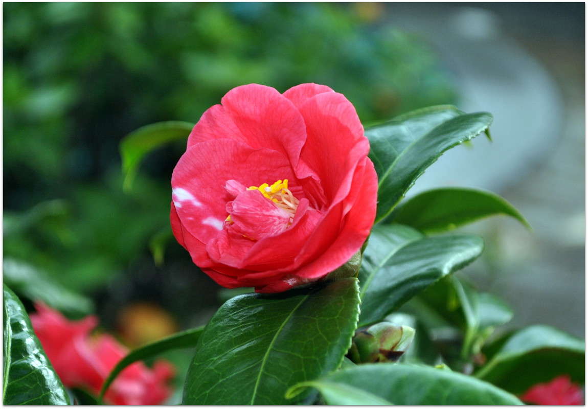 ����� �������) ����� ����� ���������(�������) �� PhotoGeek.ru #������ ��� ������� #����� ��������������