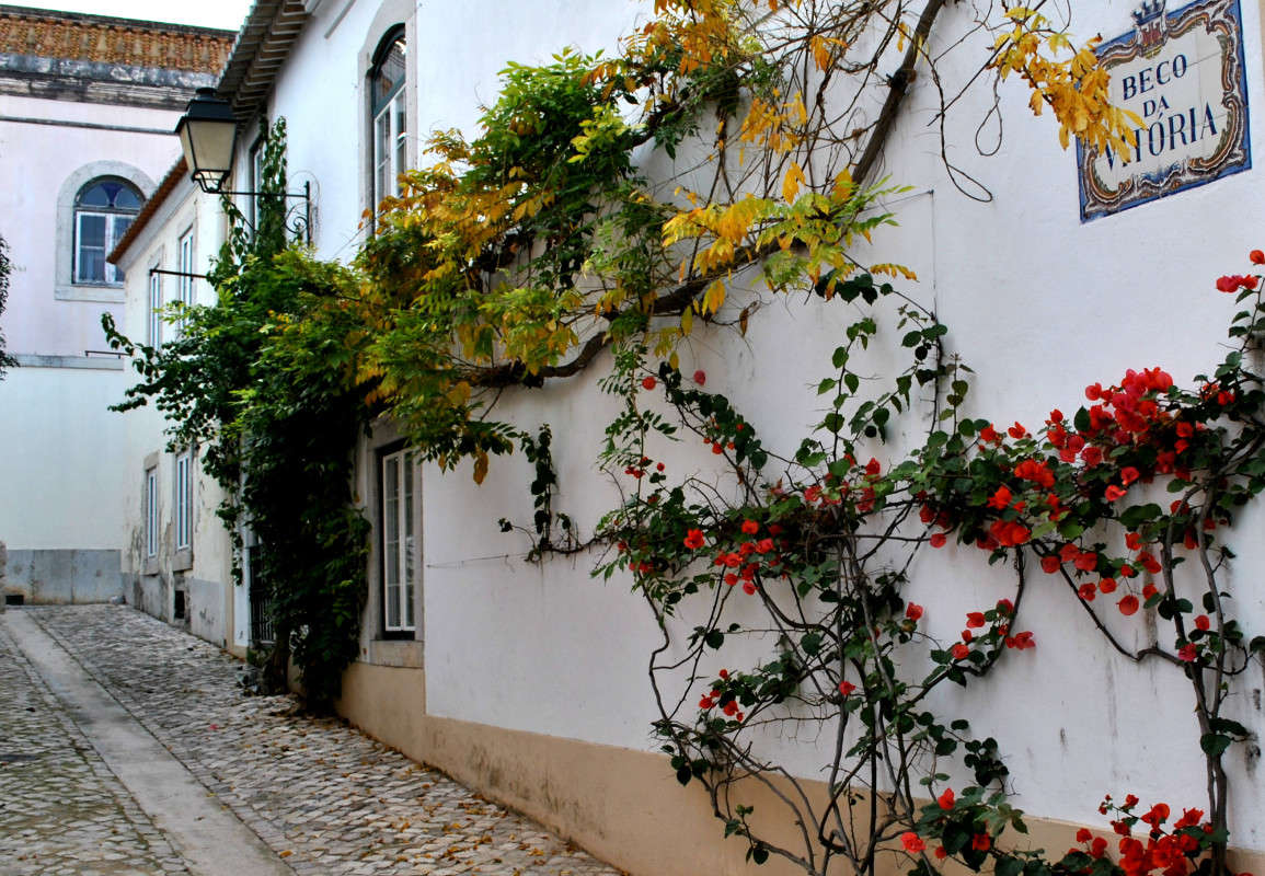 ������ ����� ����� ���������(�������) �� PhotoGeek.ru #����� #����������� #��������� ������