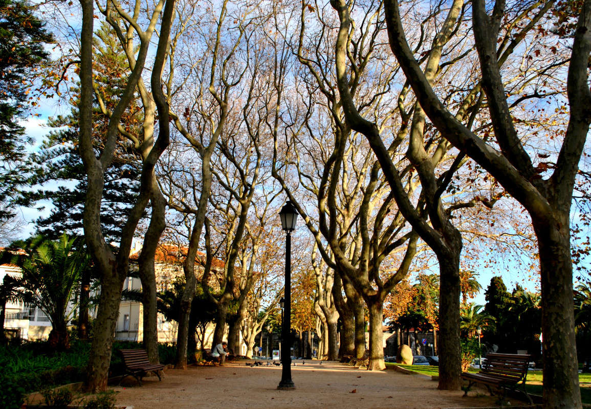 ������� ����� ����� ���������(�������) �� PhotoGeek.ru #����� #������ ���� #��������� ������