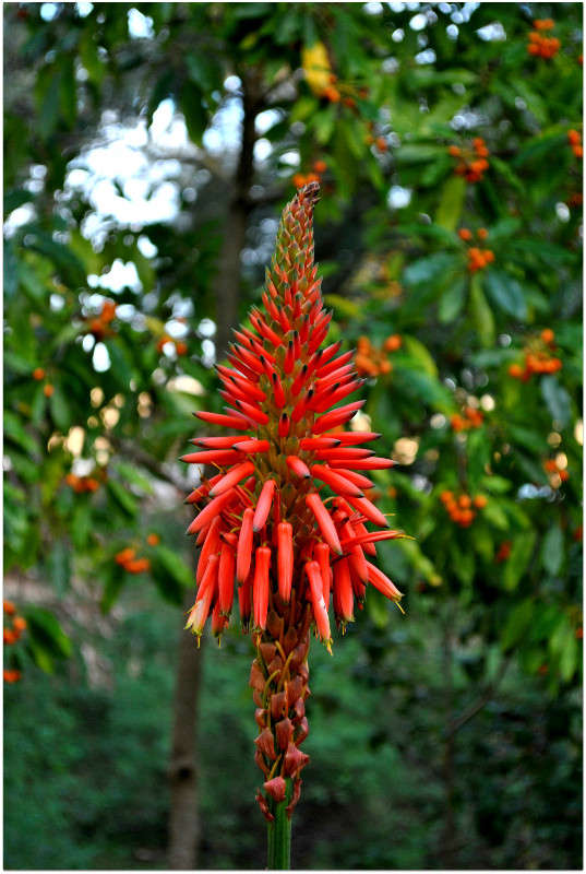 ������ ����. ����� ����� ���������(�������) �� PhotoGeek.ru #������ ��� ������� #����� ��������������