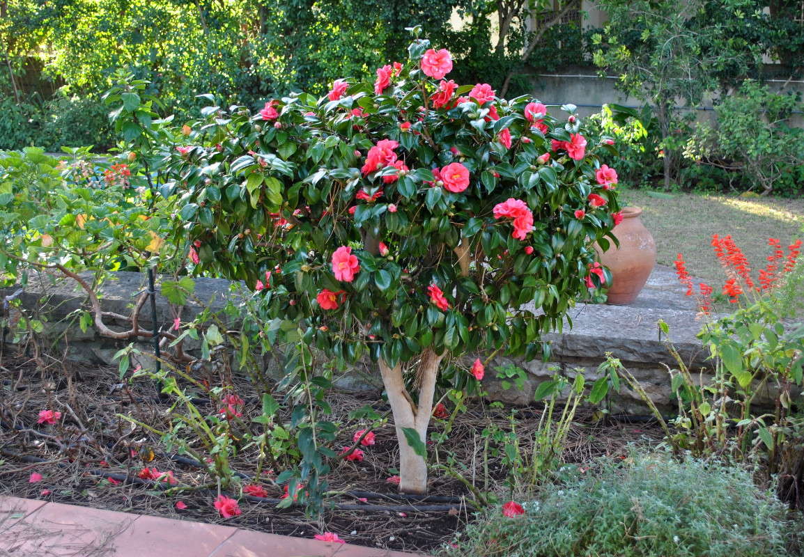 ����� ������� ����� ����� ���������(�������) �� PhotoGeek.ru #������ ��� ������� #����� ��������������