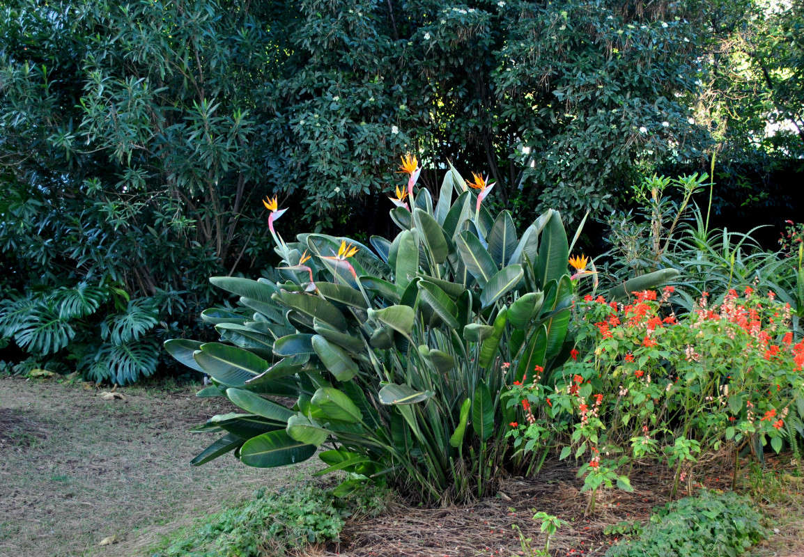 ����������� ������ ����� ����� ���������(�������) �� PhotoGeek.ru #������ ��� ������� #����� ��������������