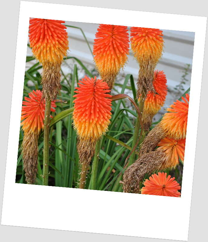 ����������� �����... ����� ����� ���������(�������) �� PhotoGeek.ru #������ ��� ������� #����� ��������������