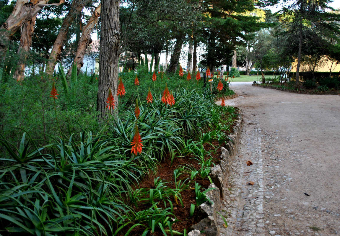 � ��������� ����� ����� ����� ���������(�������) �� PhotoGeek.ru #����� #������ ��� ������� #������