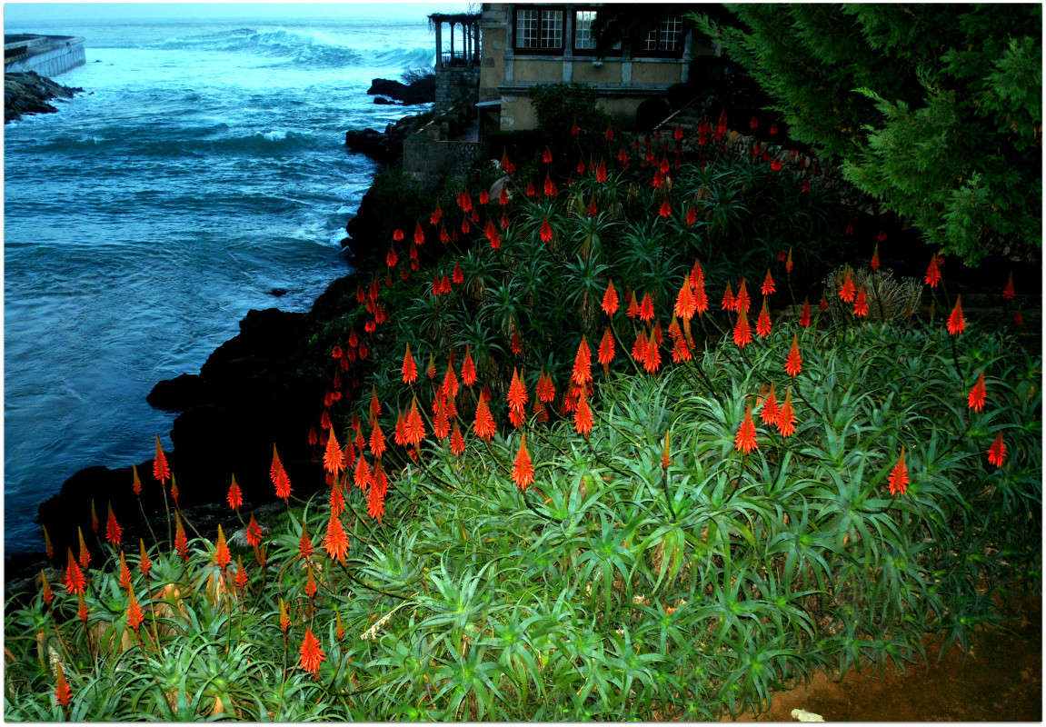 �������� ������ ����� ����� ���������(�������) �� PhotoGeek.ru #������ ��� ������� #������