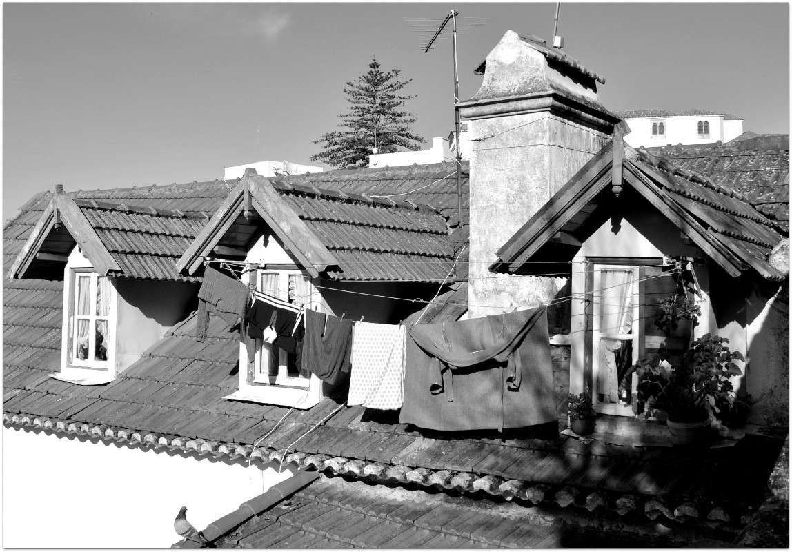 �/�... ����� ����� ���������(�������) �� PhotoGeek.ru #����� #����������� #������ ����