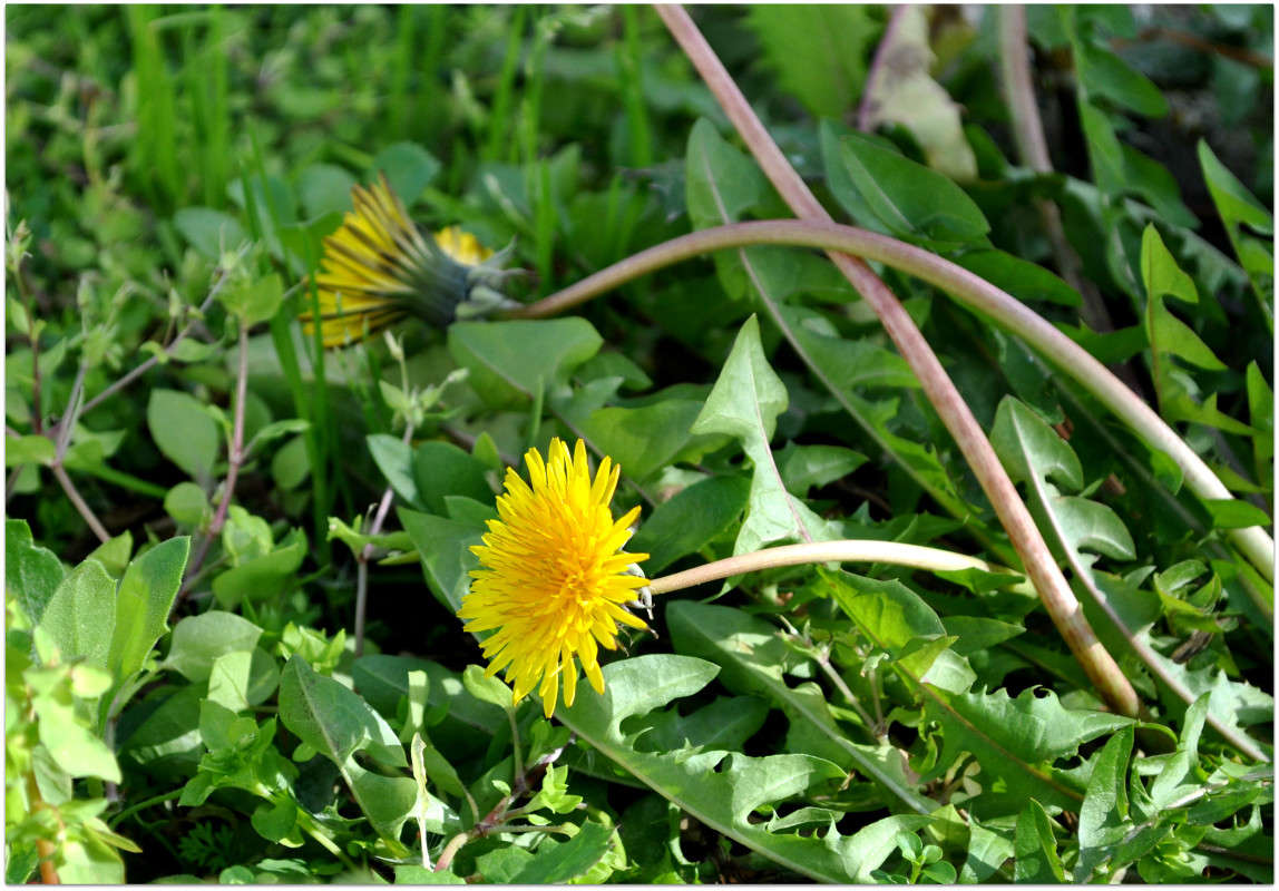 ���������)) ����� ����� ���������(�������) �� PhotoGeek.ru #������ ��� ������� #����� ��������������