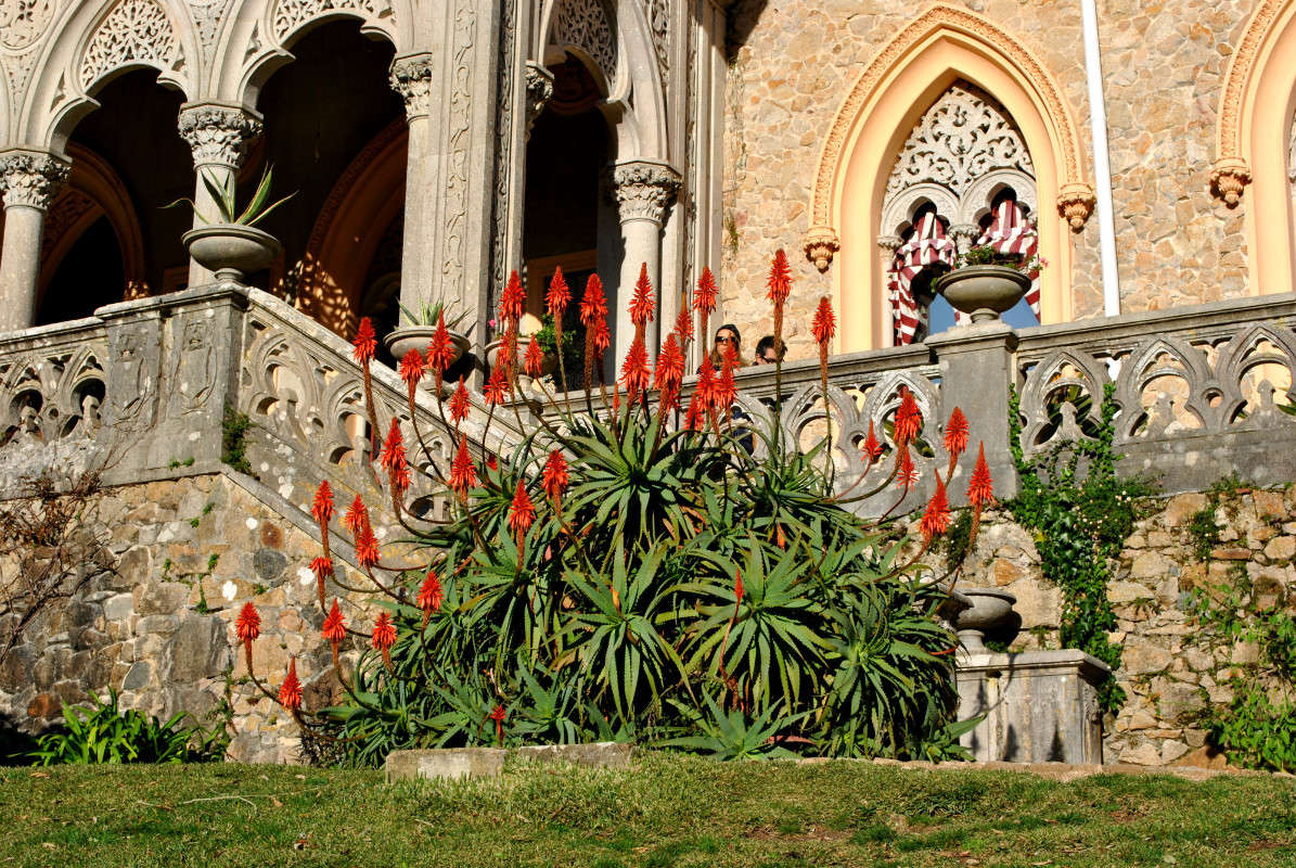 ... ����� ����� ���������(�������) �� PhotoGeek.ru #������ ��� ������� #����������� #������