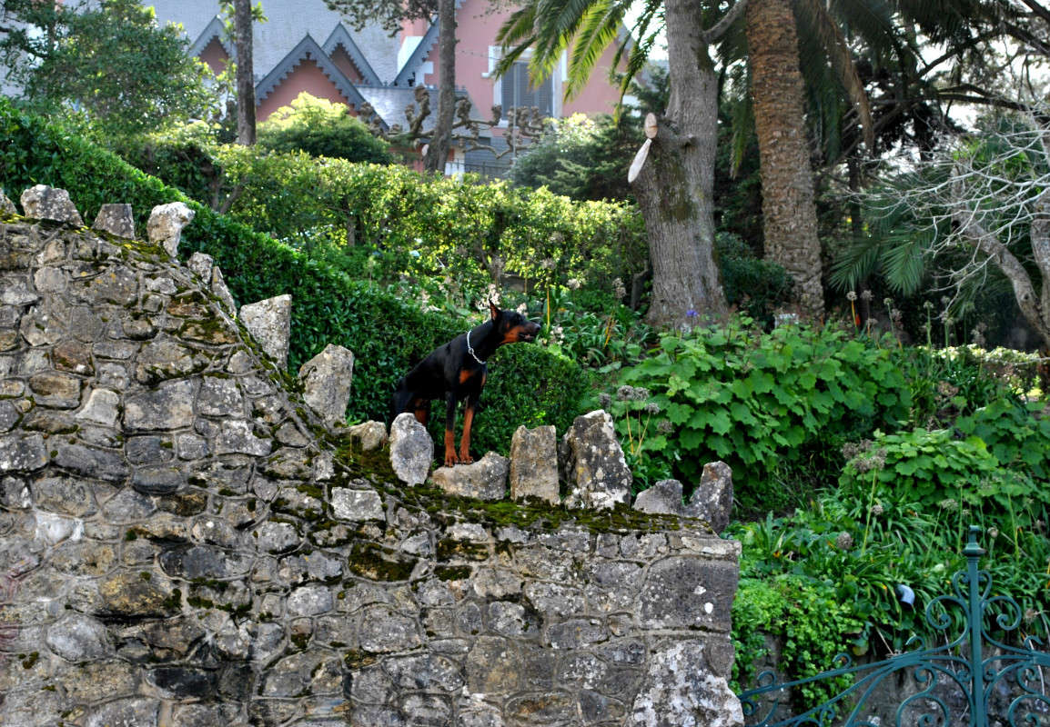 ������ �� �������!)) ����� ����� ���������(�������) �� PhotoGeek.ru #�������� ��� #�������� #������