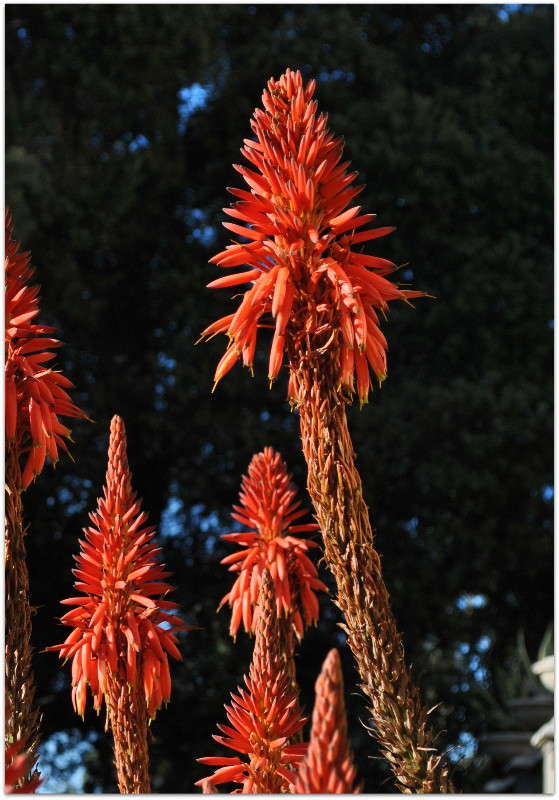 ����)) ����� ����� ���������(�������) �� PhotoGeek.ru #������ ��� ������� #����� ��������������