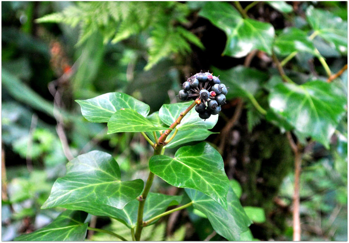 ... ����� ����� ���������(�������) �� PhotoGeek.ru #������ ��� ������� #����� ��������������