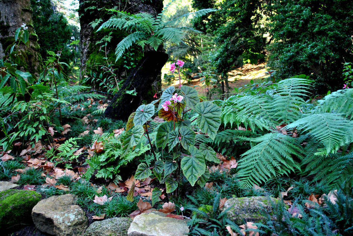 ����������� �����...)) ����� ����� ���������(�������) �� PhotoGeek.ru #������ ��� ������� #����� ��������������