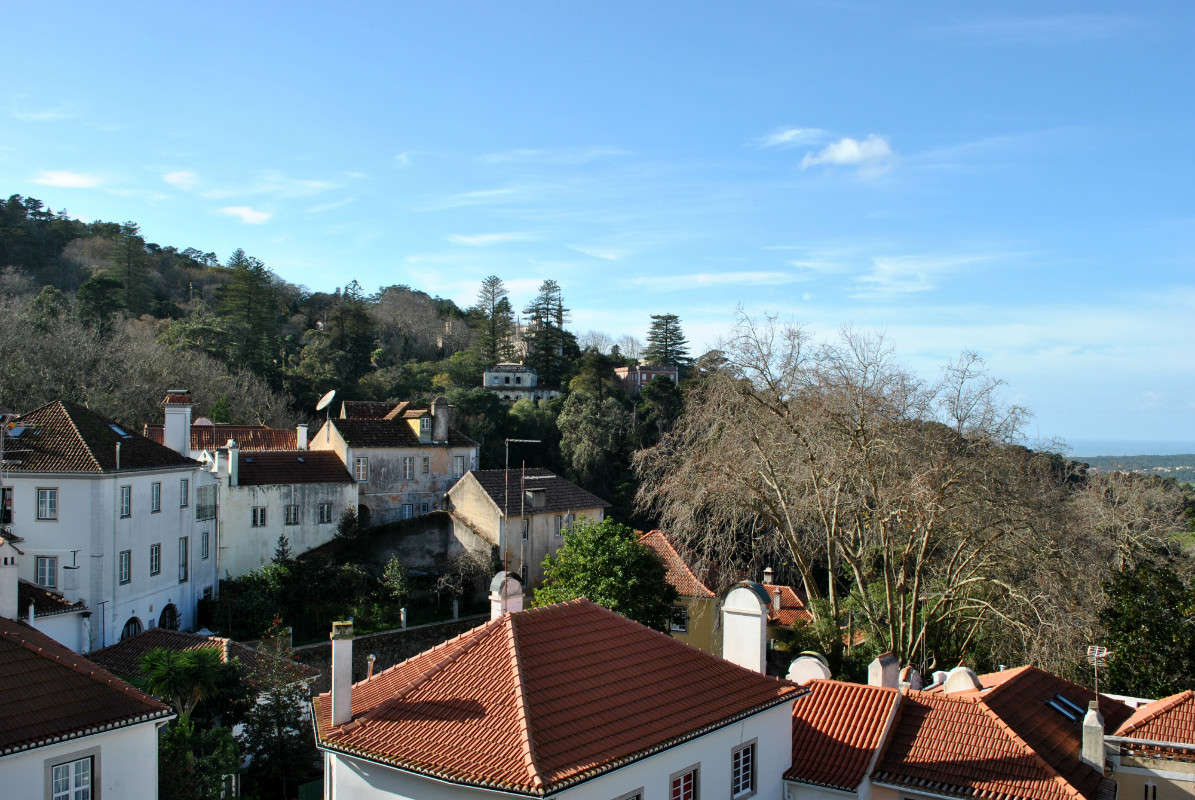 ... ����� ����� ���������(�������) �� PhotoGeek.ru #����� #����������� #��������� ������