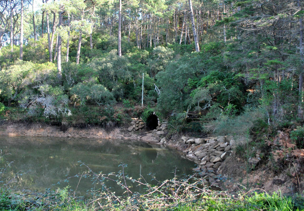 � �����... ����� ����� ���������(�������) �� PhotoGeek.ru #������ ��� ������� #������