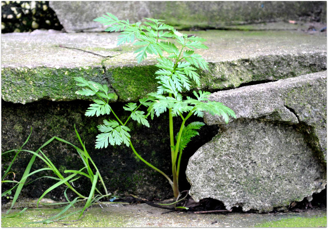 �� ������� � �����!!! ����� ����� ���������(�������) �� PhotoGeek.ru #����� ��������������