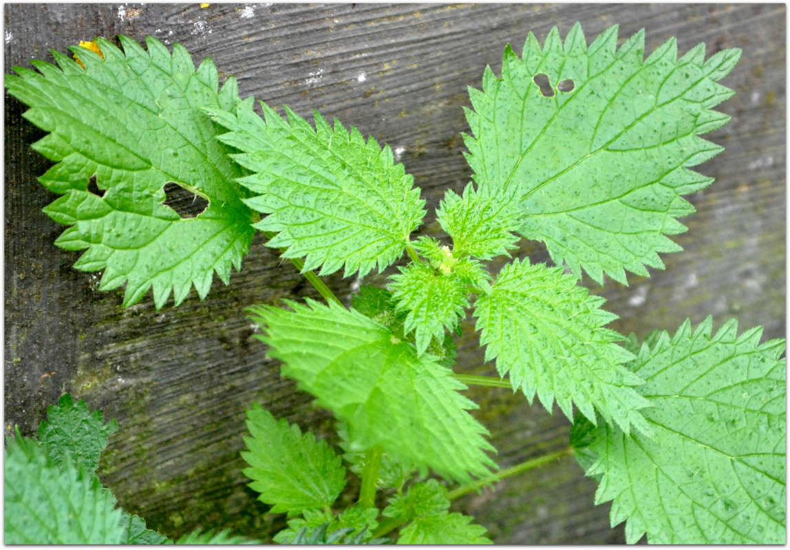 ������� ����� ����� ���������(�������) �� PhotoGeek.ru #����� ��������������