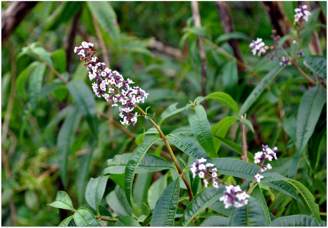 �������� ����� ����� ���������(�������) �� PhotoGeek.ru #����� ��������������