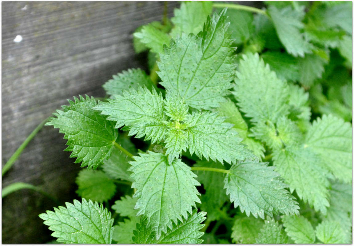 �������. ����� ����� ���������(�������) �� PhotoGeek.ru #����� ��������������