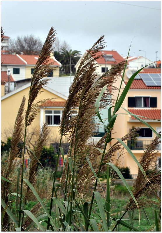 ����� �����...)) ����� ����� ���������(�������) �� PhotoGeek.ru #����� ��������������