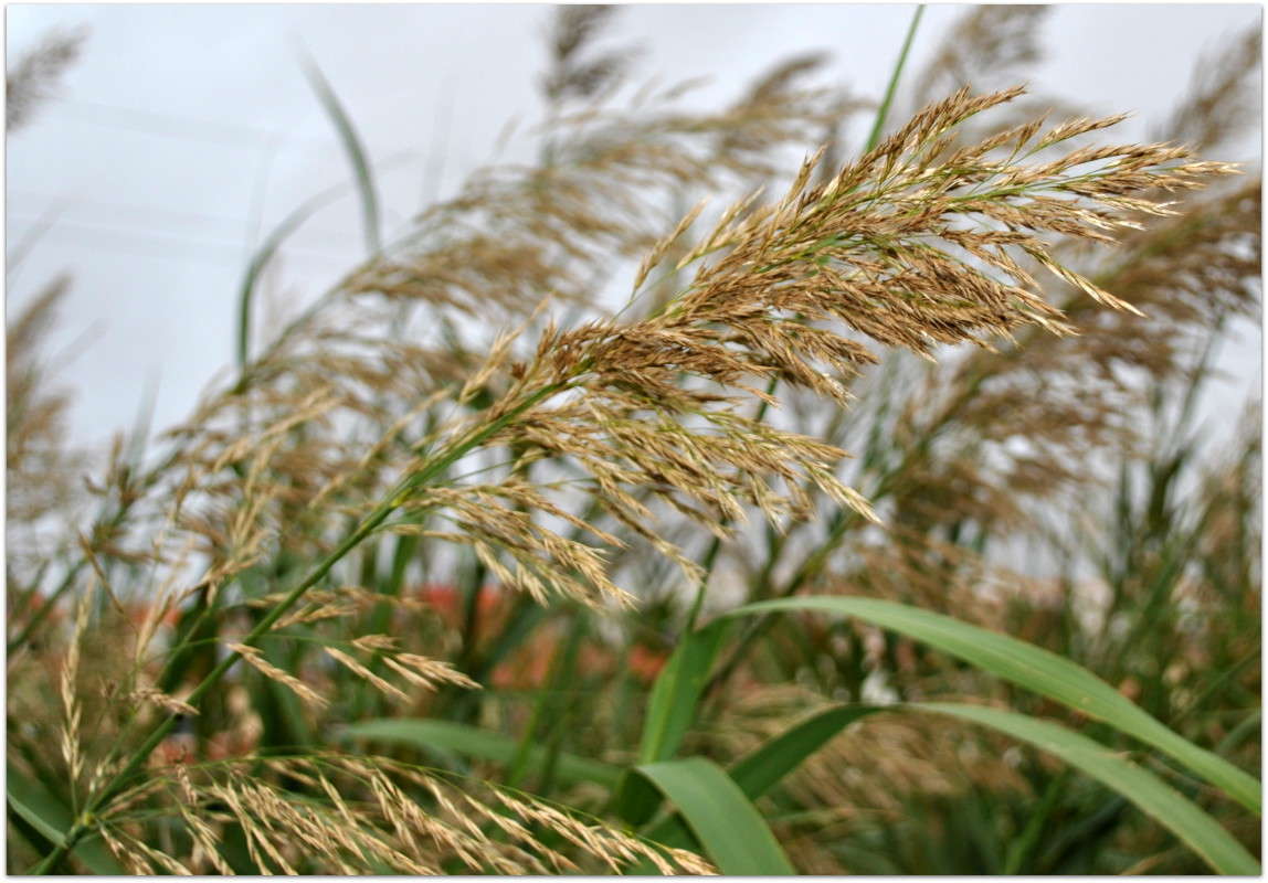 ... ����� ����� ���������(�������) �� PhotoGeek.ru #����� ��������������